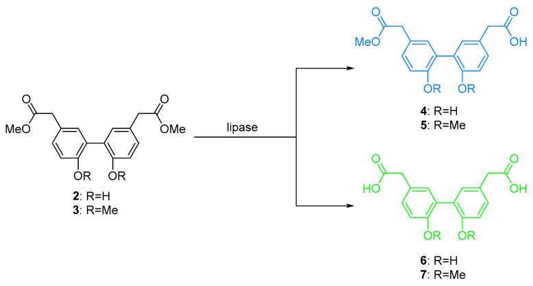 Scheme 2