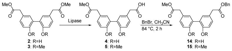 Scheme 5