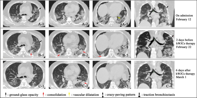 Fig. 7