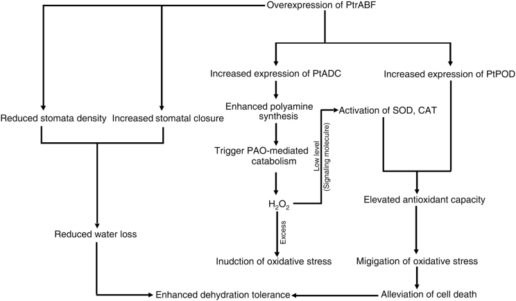 Fig. 10.