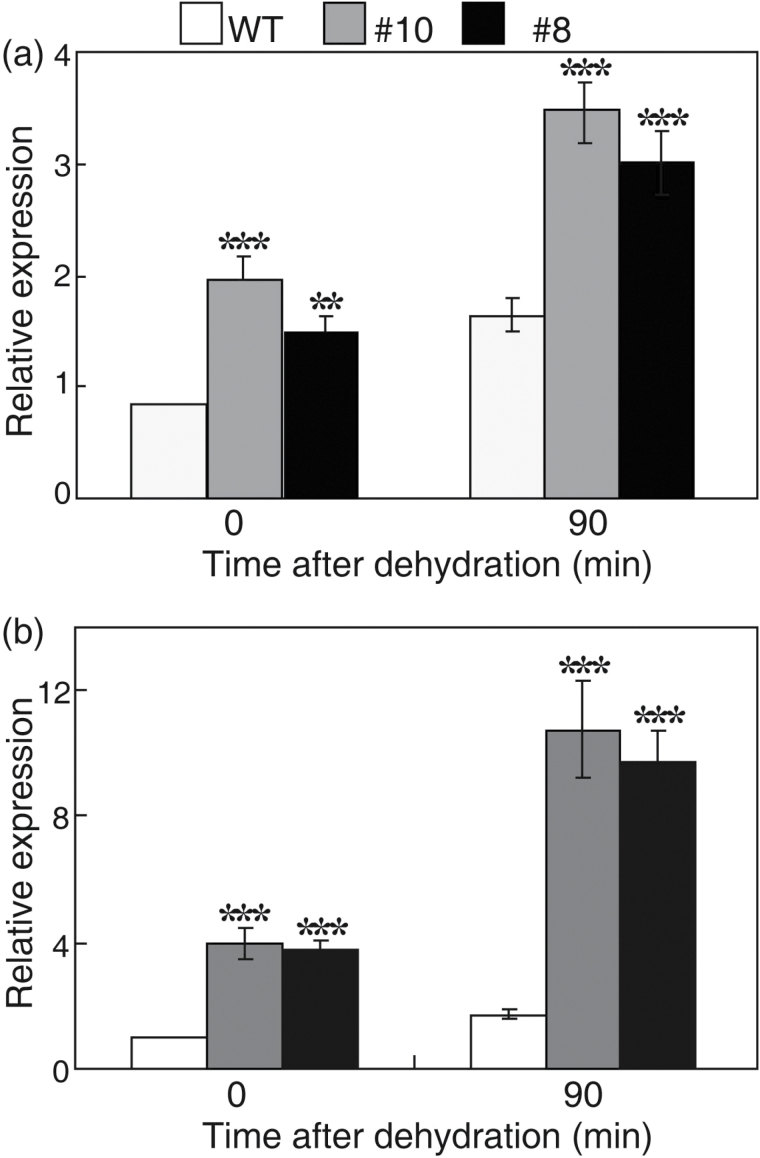 Fig. 6.