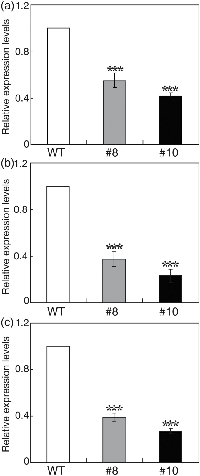 Fig. 3.