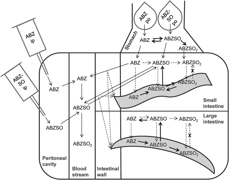 Fig. 3