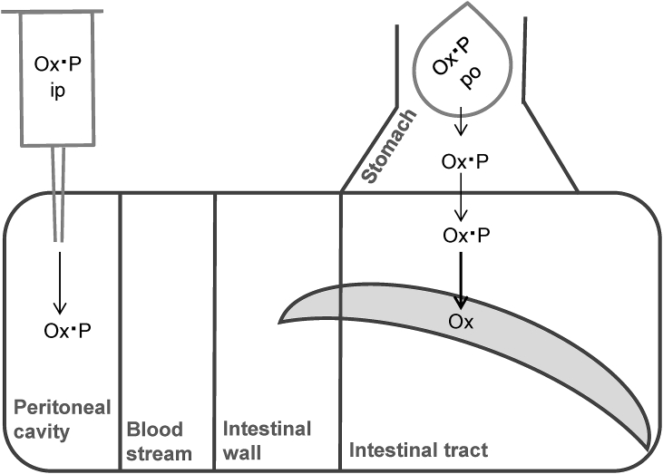 Fig. 5