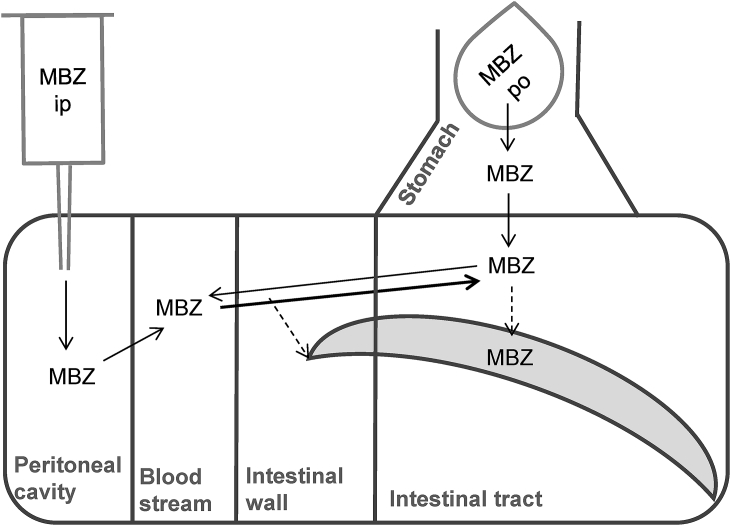 Fig. 4