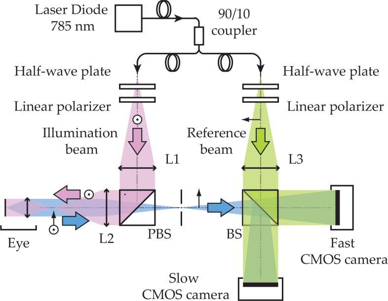 Fig. 1