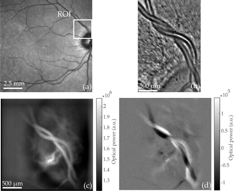 Fig. 4