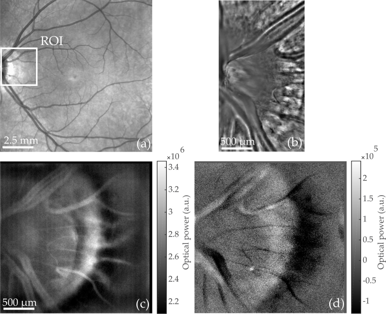 Fig. 3