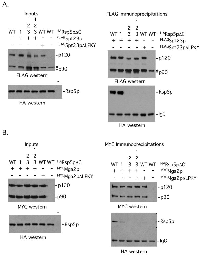 FIG 3