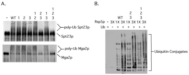 FIG 2