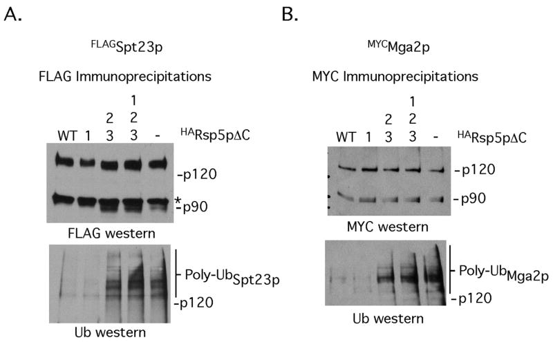 FIG 4