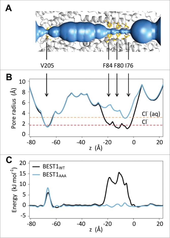 Figure 3.