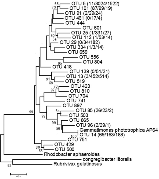 FIG 6