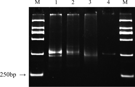 FIG 3