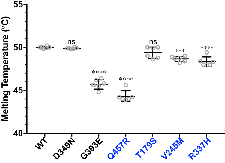 Figure 5