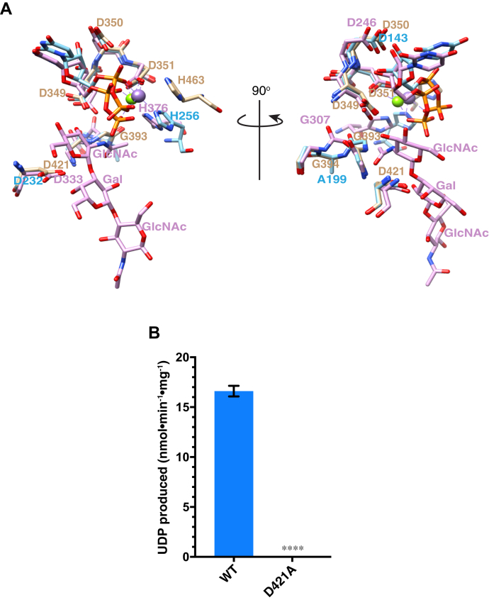 Figure 7