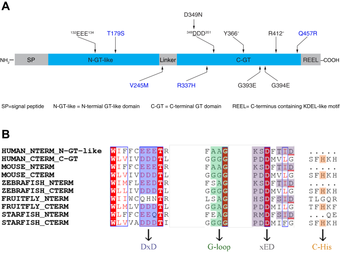 Figure 1