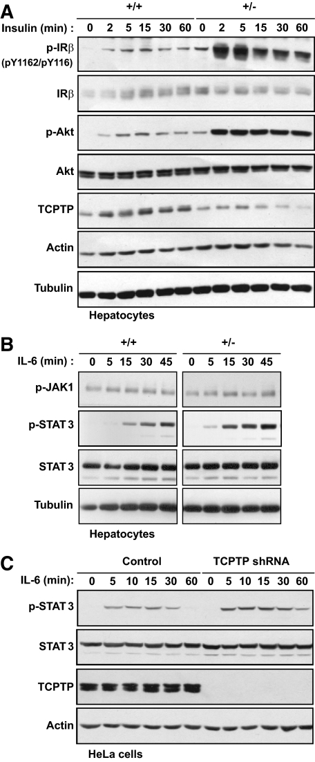 FIG. 5.