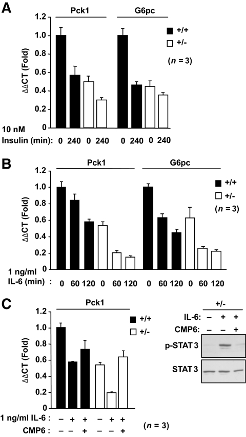 FIG. 6.