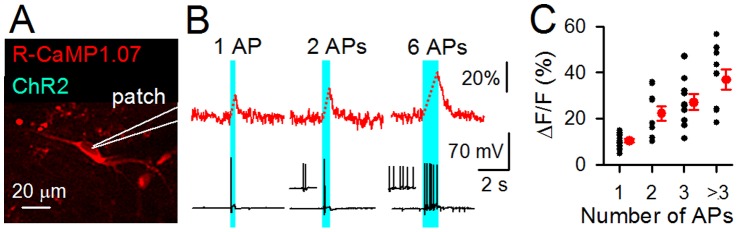 Figure 4