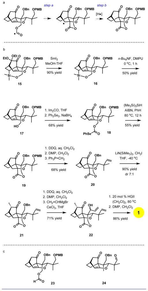 Scheme 3