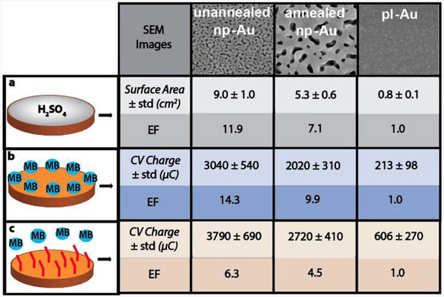 graphic file with name nihms-1048708-t0002.jpg