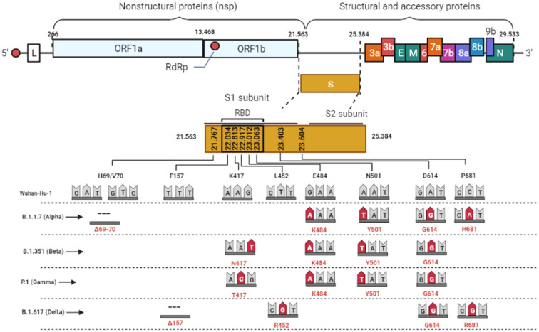 Fig 1