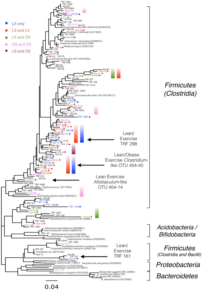 Fig 6