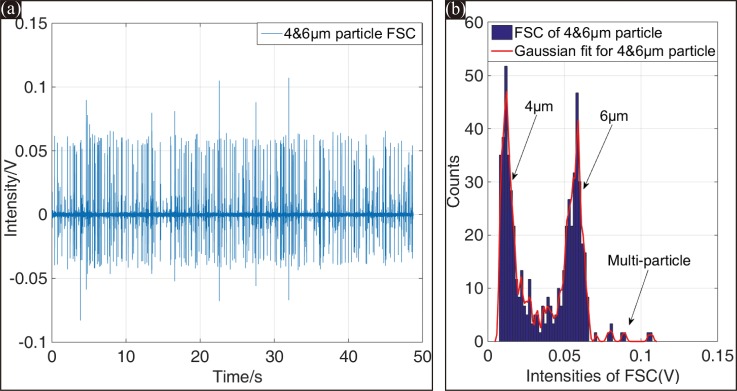 FIG. 10.