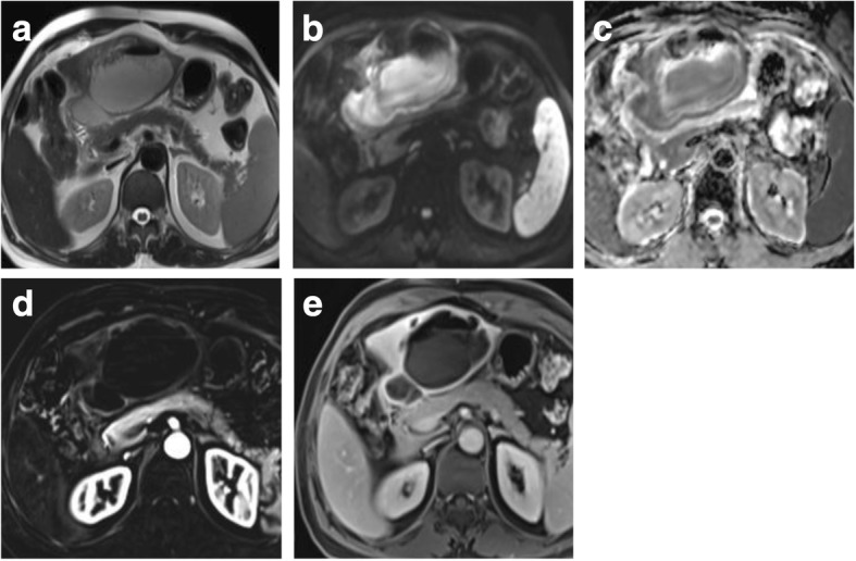 Fig. 9