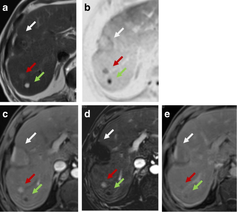 Fig. 5