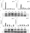 Figure 6