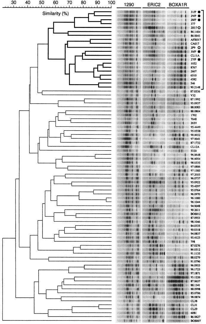 FIG.1.