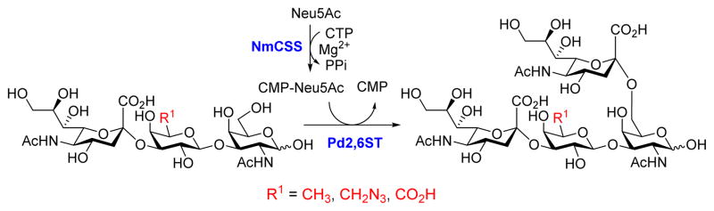 Scheme 3