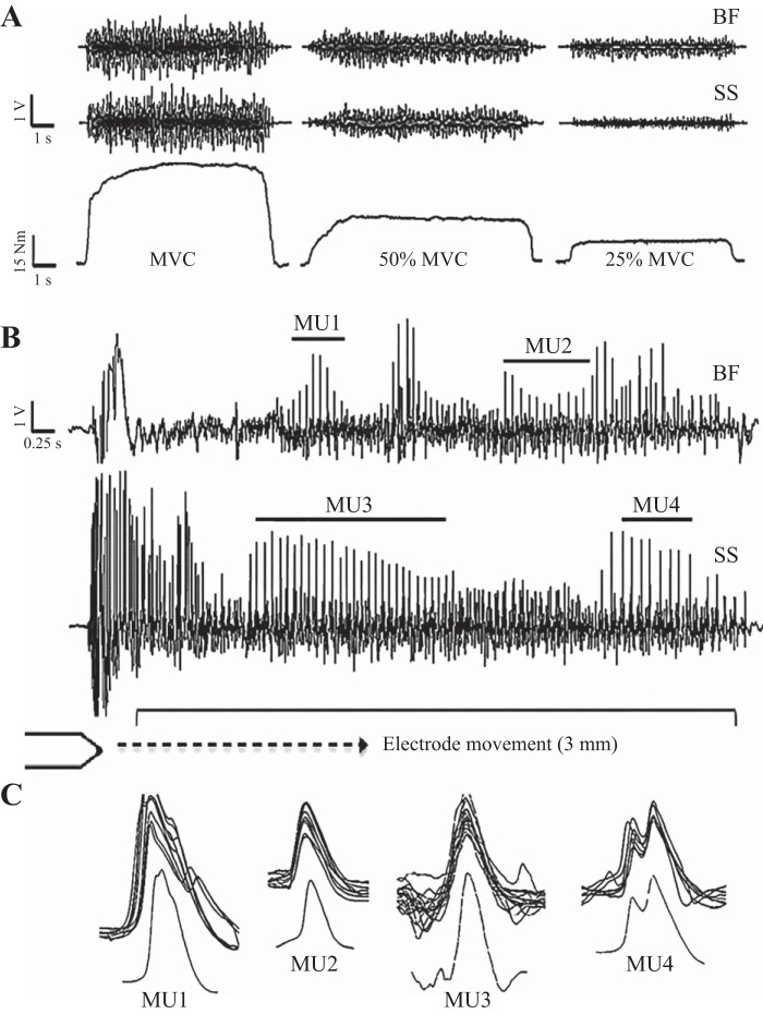 Fig. 2.