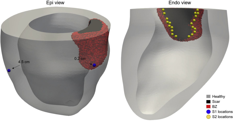 Figure 2