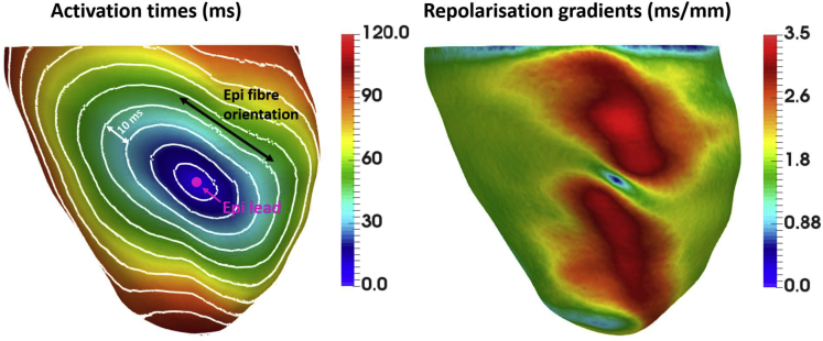 Figure 3