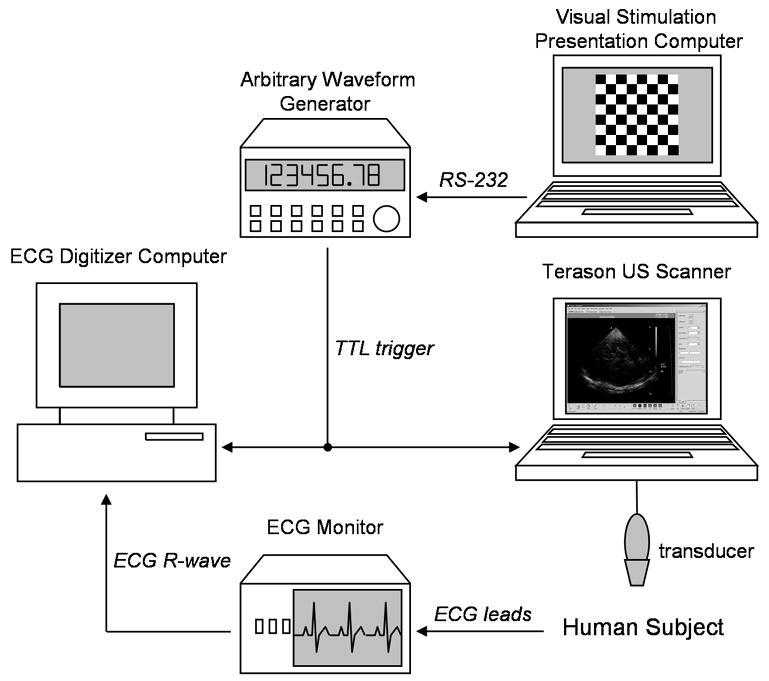 Fig. 2