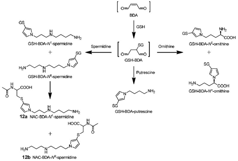 Scheme 3