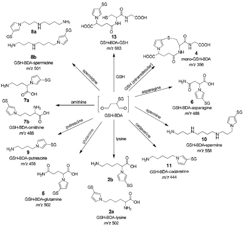 Scheme 2