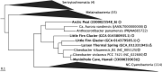 FIG 1