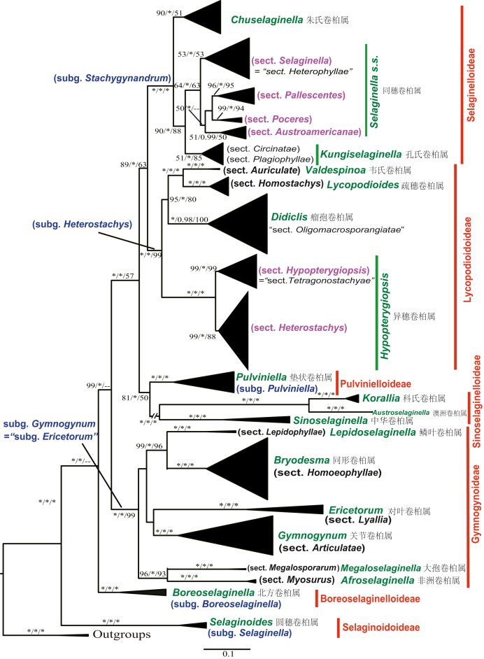 Fig. 1