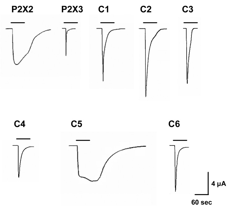 Figure. 2