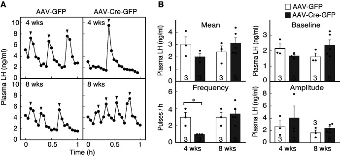 Fig. 3.