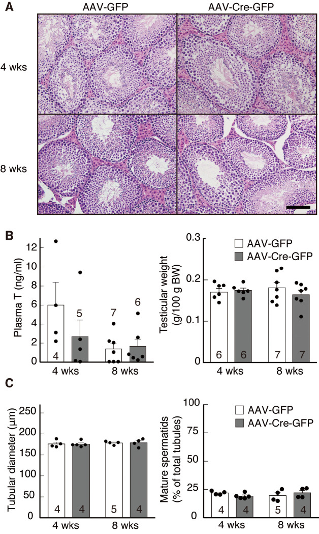 Fig. 4.