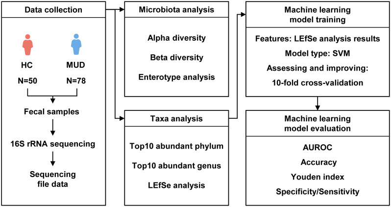 Figure 1