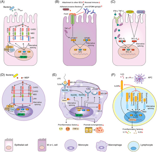 FIGURE 4