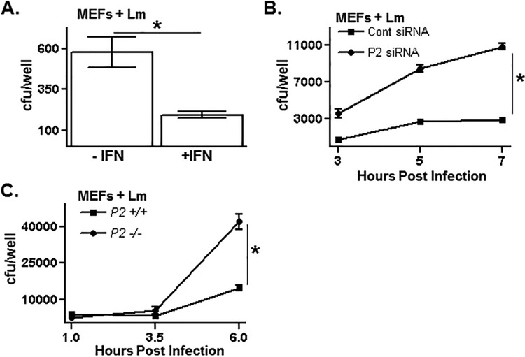 FIG 2