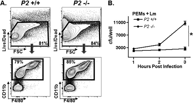 FIG 3