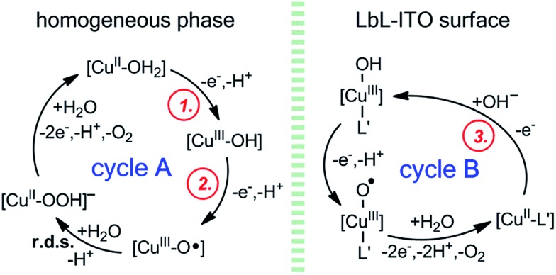 Scheme 3